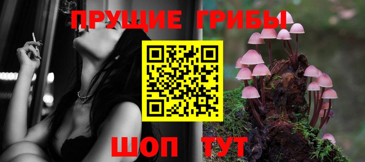 Казань  Галлюциногенные грибы MAGIC MUSHROOMS  Вход с VPN 