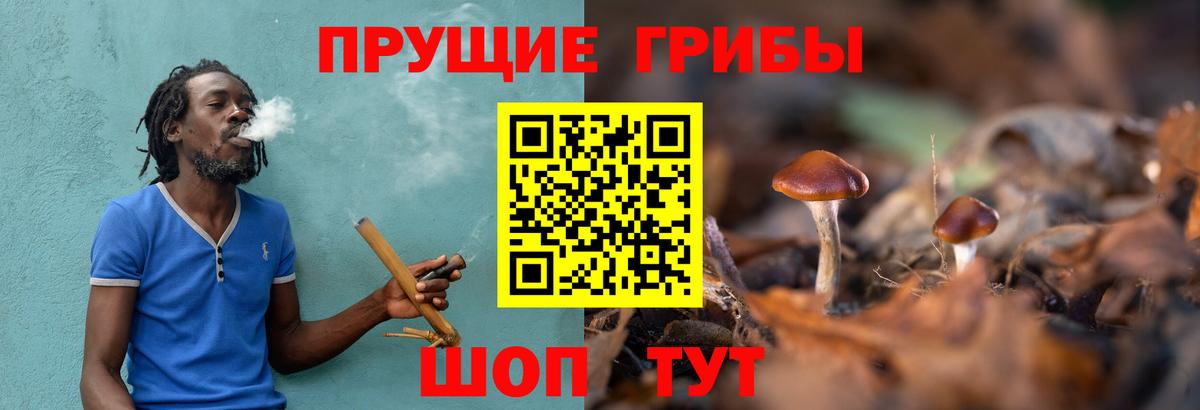 Псилоцибиновые грибы GOLDEN TEACHER Казань