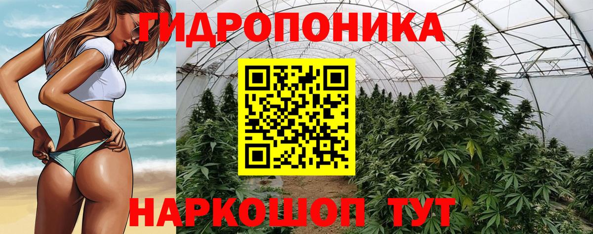 Бошки Шишки конопля  Вход с VPN  МАРИХУАНА сатива  Казань  МАРИХУАНА Amnesia  Конопля семена 